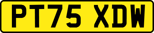 PT75XDW
