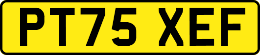 PT75XEF