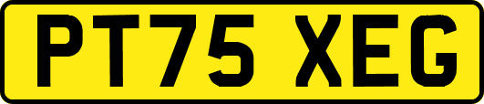PT75XEG