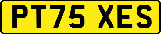 PT75XES