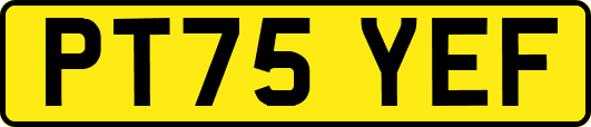 PT75YEF