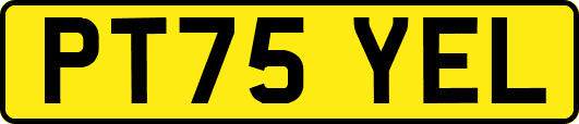 PT75YEL
