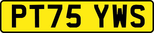 PT75YWS