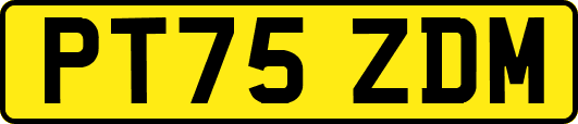 PT75ZDM