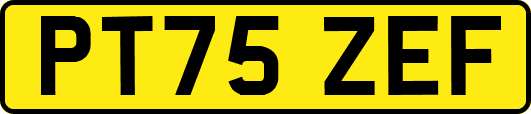 PT75ZEF