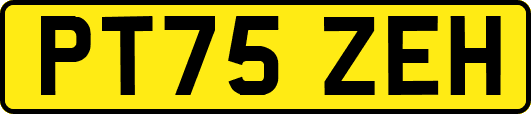PT75ZEH