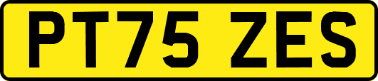 PT75ZES