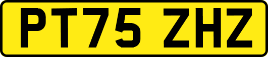PT75ZHZ