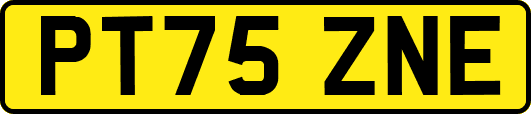 PT75ZNE