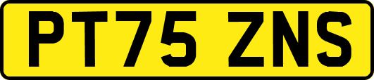 PT75ZNS