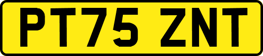 PT75ZNT