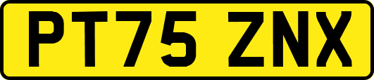 PT75ZNX