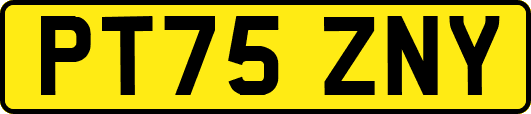 PT75ZNY