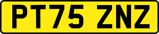 PT75ZNZ