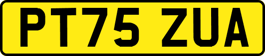 PT75ZUA