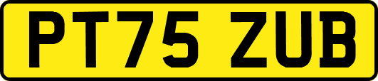 PT75ZUB