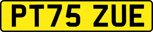 PT75ZUE