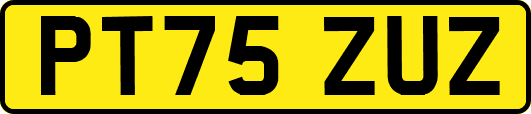 PT75ZUZ