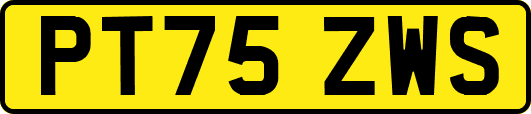 PT75ZWS