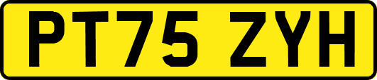 PT75ZYH