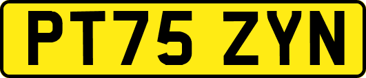 PT75ZYN