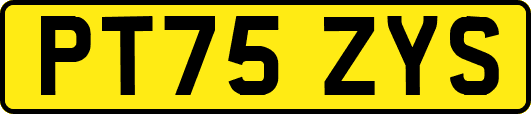 PT75ZYS
