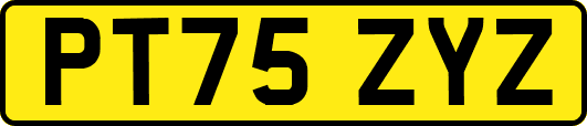 PT75ZYZ