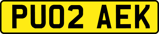 PU02AEK