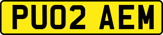 PU02AEM