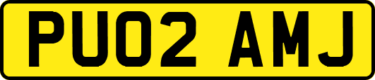 PU02AMJ