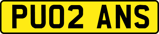 PU02ANS