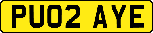 PU02AYE