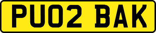 PU02BAK
