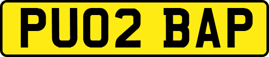 PU02BAP