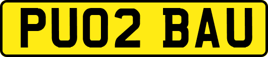 PU02BAU