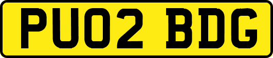 PU02BDG