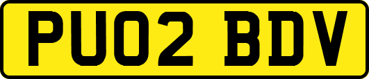 PU02BDV