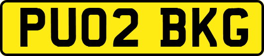 PU02BKG