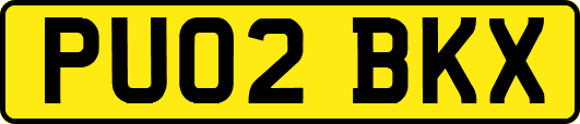 PU02BKX