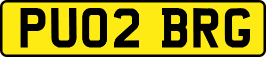 PU02BRG