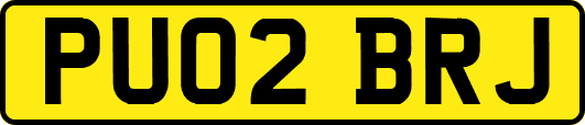 PU02BRJ