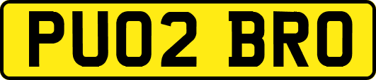 PU02BRO
