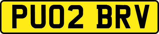 PU02BRV