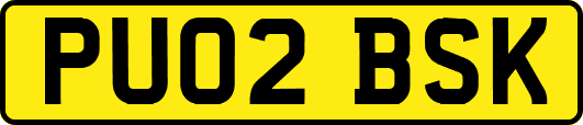 PU02BSK