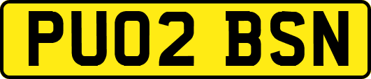 PU02BSN