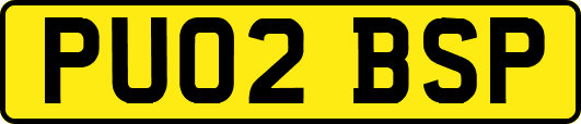 PU02BSP