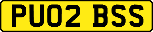 PU02BSS