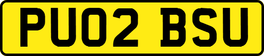 PU02BSU