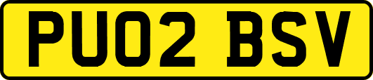 PU02BSV
