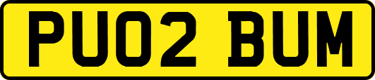 PU02BUM